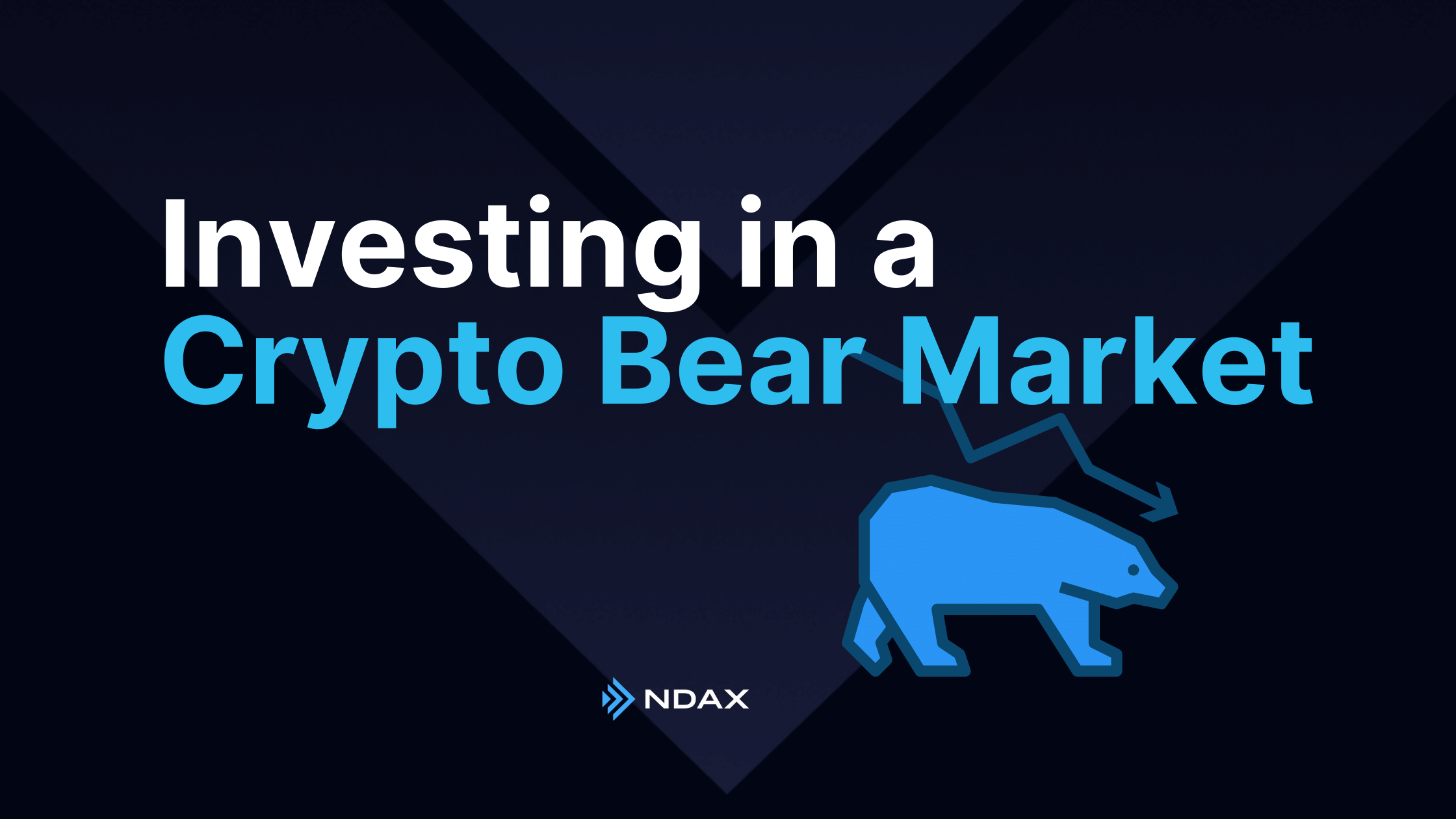 Investing in a Crypto Bear Market – What to Do & How to Invest | NDAX